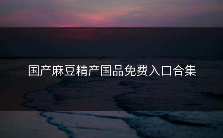 国产麻豆精产国品免费入口合集