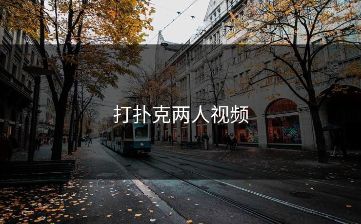 打扑克两人视频