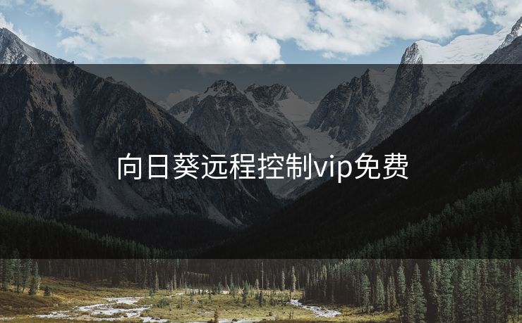 向日葵远程控制vip免费