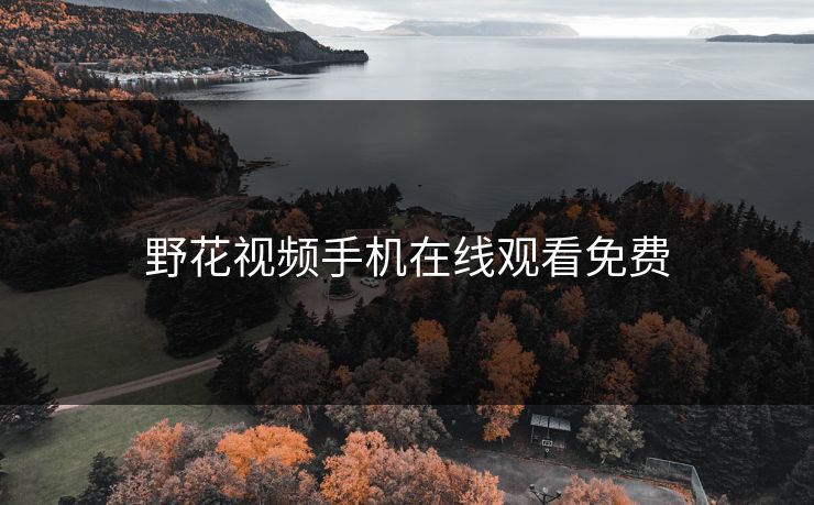 野花视频手机在线观看免费