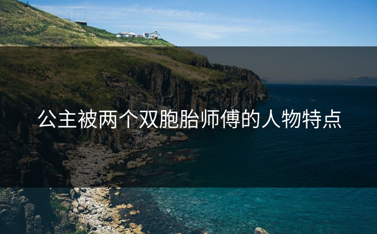 公主被两个双胞胎师傅的人物特点