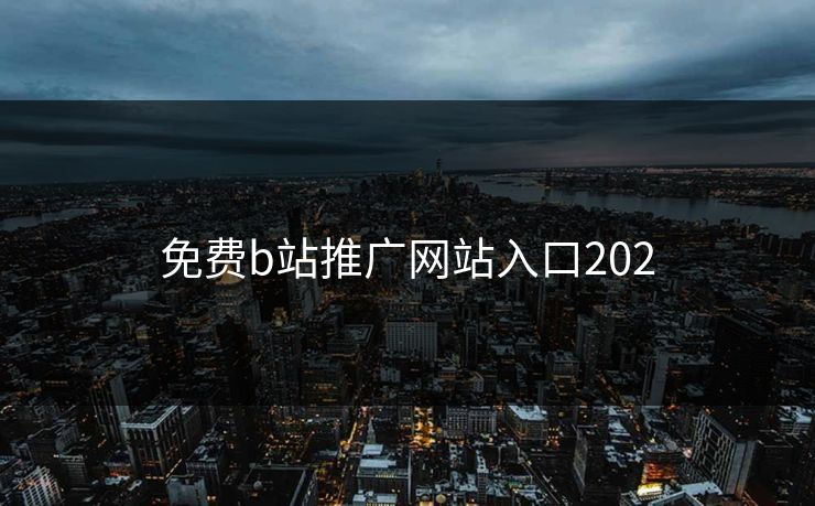 免费b站推广网站入口202 免费b站推广网站入口202